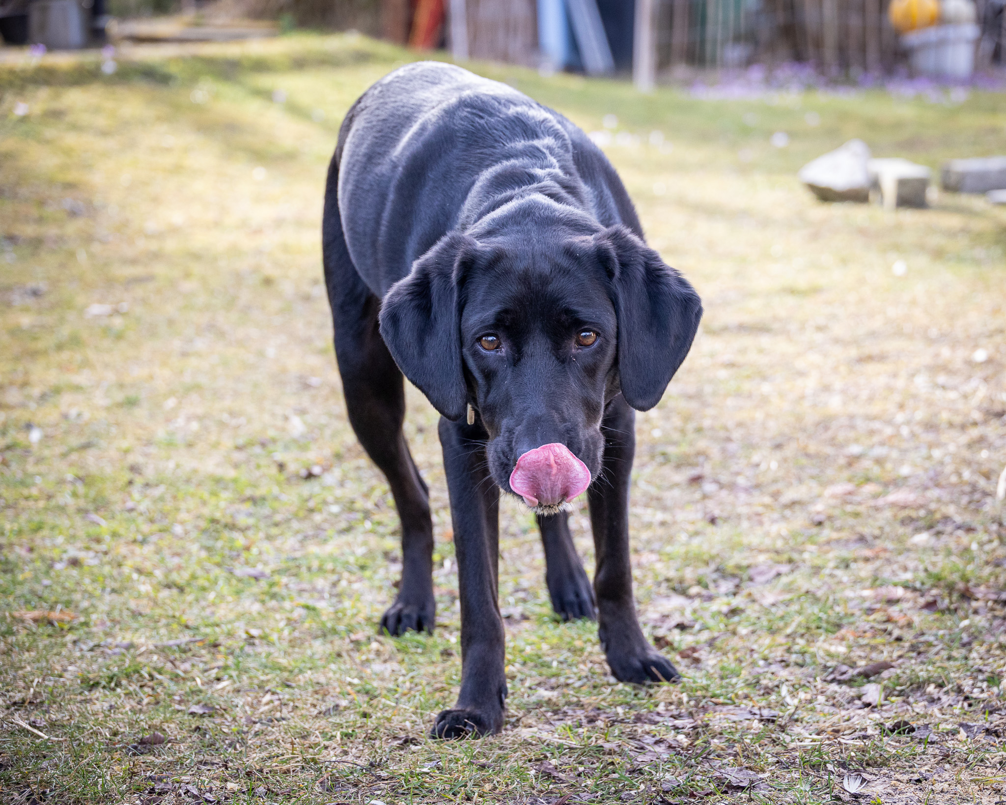 Tierfotografie
